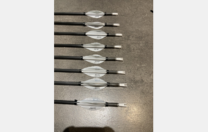 Lot de 8 flèches 